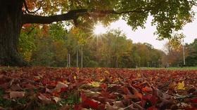 Video thumbnail: Path Through History Scenic and Natural History | Thacher State Park