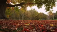 Scenic and Natural History | Thacher State Park