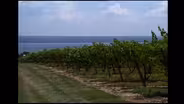 New York's Wine Country | Finger Lakes Region (Part 4)