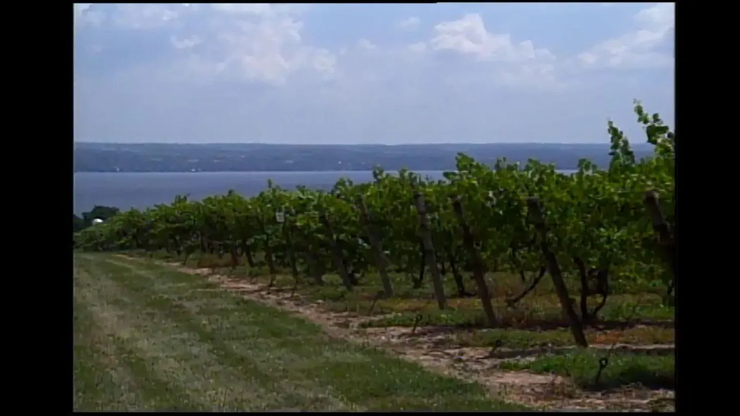 New York's Wine Country | Finger Lakes Region (Part 4)