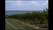 New York's Wine Country | Finger Lakes Region (Part 4)