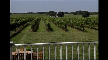 Video thumbnail: WMHT Specials New York's Wine Country | Long Island Region
