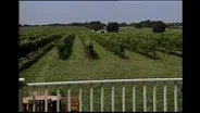 New York's Wine Country | Long Island Region