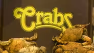 Crabs: November 25, 1986