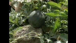 Good Earth Garden with Tina James #118
