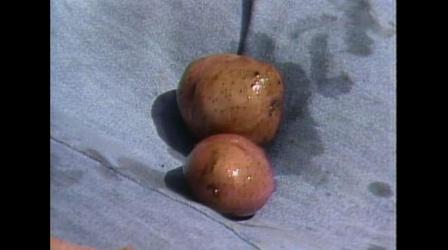 Video thumbnail: MPT Classics Good Earth Garden with Tina James #121