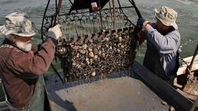 Video thumbnail: MPT Specials Spat! Bringing Oysters Back to the Chesapeake Bay