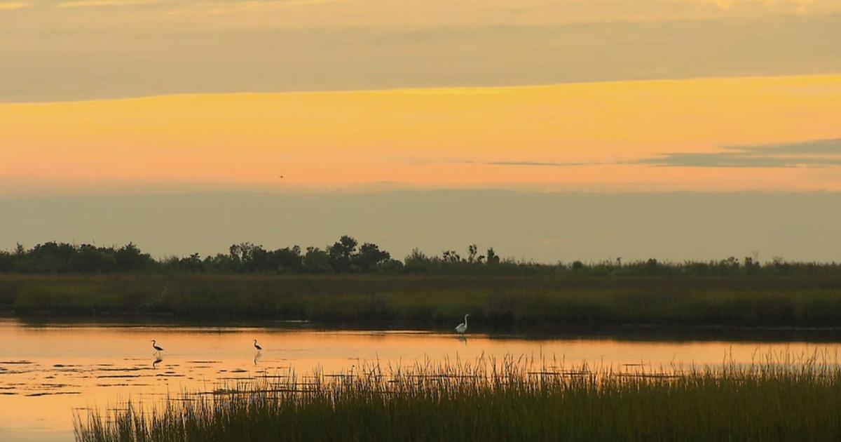 Chesapeake Bay Week | Secrets of the Chesapeake | PBS