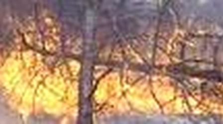 Video thumbnail: Outdoors Maryland Burn the Marching Pines