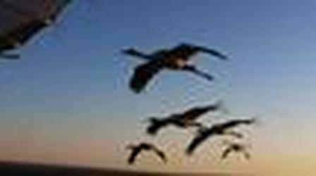 Video thumbnail: Outdoors Maryland Autumn Promise