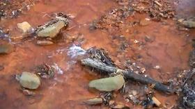 Video thumbnail: Outdoors Maryland A Never Ending Battle