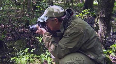 Video thumbnail: Outdoors Maryland Essence of the Edge