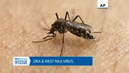 @Issue: Zika and West Nile Virus