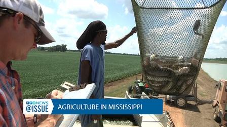 Video thumbnail: @ISSUE @Issue: Agriculture in Mississippi