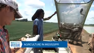@Issue: Agriculture in Mississippi