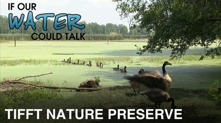 Video thumbnail: WNED PBS Documentaries Tiftt Nature Preserve