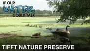 Tiftt Nature Preserve