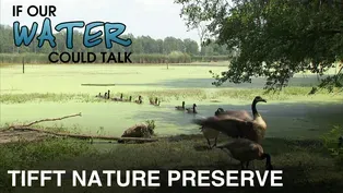 Tiftt Nature Preserve
