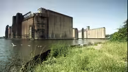 Dinosaurs of the Industrial Age