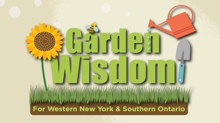 Video thumbnail: WNED PBS Specials Garden Wisdom for Western New York and Southern Ontario