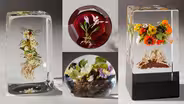 Paul Stankard Glass at the Akron Art Museum