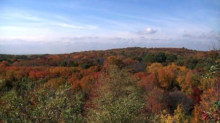 Video thumbnail: The City Concealed Staten Island Greenbelt