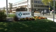 Merck Decides to Close Summit, NJ Facility