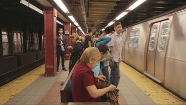 Preview 10/12: NYT Subways,Hinojosa,Animal Misfits,Columbus