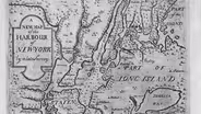 Manhattan Was "Garden of Eden" Says Historian Ted Steinberg