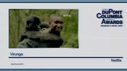 Netflix’s Virunga Wins a duPont Award