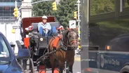 Two Sides Of The NYC Horse Carriage Ban