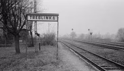 Treblinka's Last Witness