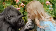 Koko The Talking Gorilla