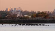 SAVING JAMAICA BAY Update