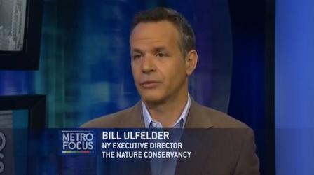 Web Extra: The Nature Conservancy