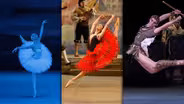 NYC-ARTS Profile: Bolshoi in New York