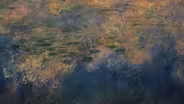 Curator's Choice: Monet's "Water Lilies" 