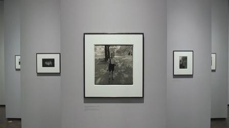 Video thumbnail: NYC-ARTS NYC-ARTS Full Episode: September 15, 2016