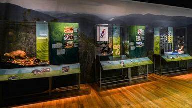 NYC-ARTS Choice: Cuba at American Museum of Natural History
