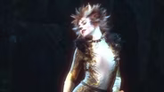 Montage from Cats the Musical