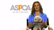 National Volunteer Week: ASPCA