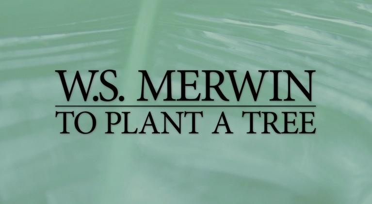 W.S. Merwin: To Plant A Tree | PBS