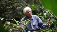 W.S. Merwin: To Plant a Tree