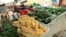 Video thumbnail: Tri-State Focus Urban Agriculture