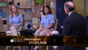 Veterinarians