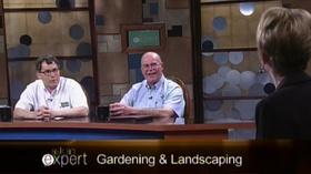 Video thumbnail: Ask an Expert Gardening and Landscaping