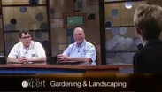 Gardening and Landscaping