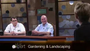 Gardening and Landscaping