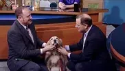 Ask a Veterinarian