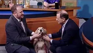 Ask a Veterinarian